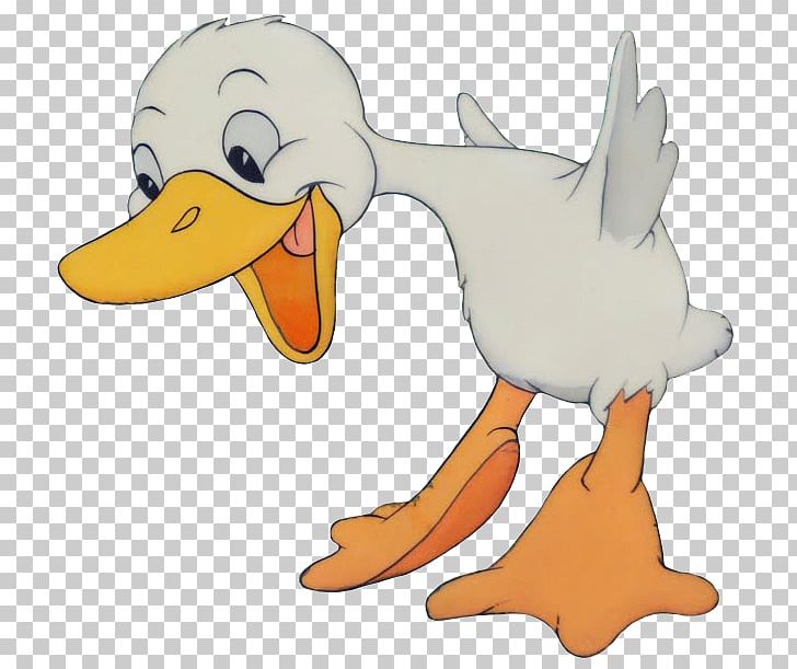 The Ugly Duckling Mallard PNG, Clipart, Animal, Animals, Beak, Bird, Carnivoran Free PNG Download