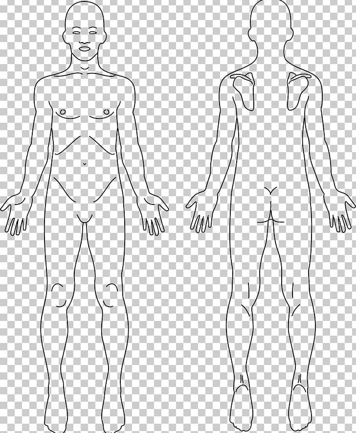 Anatomy Human Body Human Back Back Pain PNG, Clipart, Abdomen, Angle, Arm, Face, Fashion Design Free PNG Download