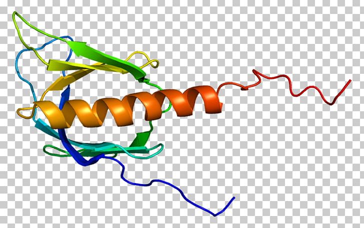 Beta Adrenergic Receptor Kinase Protein Kinase A Adrenaline PNG, Clipart, Adrenergic Receptor, Area, Artwork, Bak, Beta Free PNG Download
