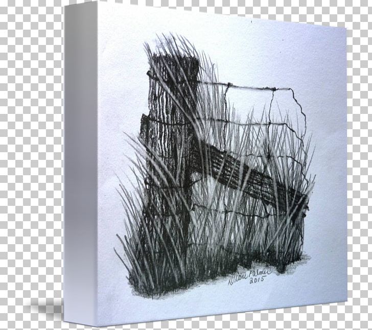 Drawing Pencil Painting Sketch PNG, Clipart, Abstract Blurred, Art, Barn, Charles Bargue, Drawing Free PNG Download