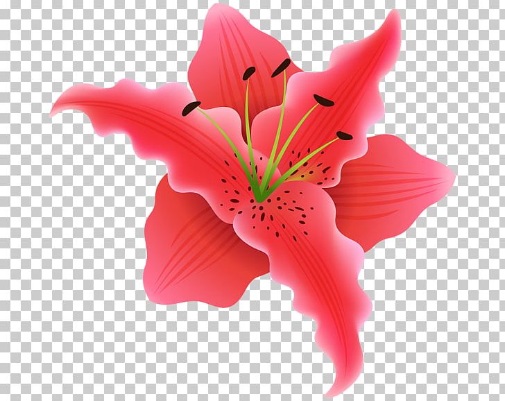 Flower Desktop PNG, Clipart, Desktop Wallpaper, Flower, Flower Bouquet, Flower Garden, Flowering Plant Free PNG Download