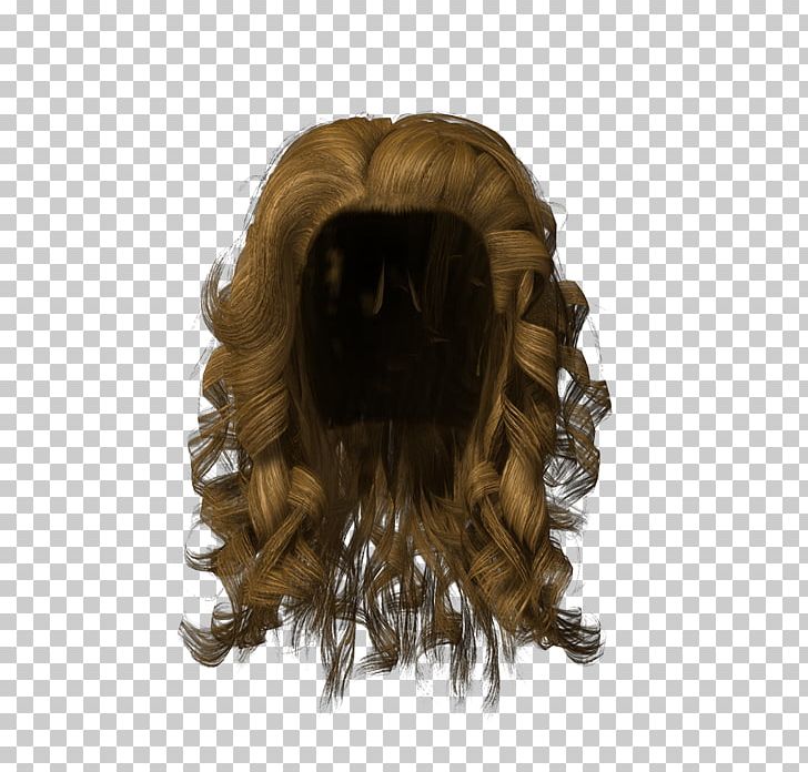 Hairstyle Wig PNG, Clipart, Bun, Canities, Fur, Hair, Hairstyle Free PNG Download