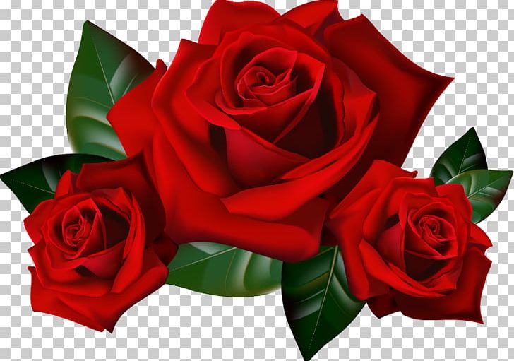 Rose PNG, Clipart, Cut Flowers, Desktop Wallpaper, Document, Flora, Floral Design Free PNG Download
