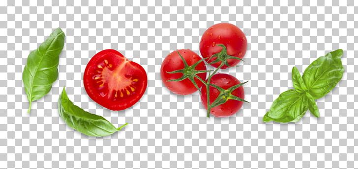 Bush Tomato Diet Food Basil PNG, Clipart, Basil, Bush Tomato, Diet, Diet Food, Food Free PNG Download