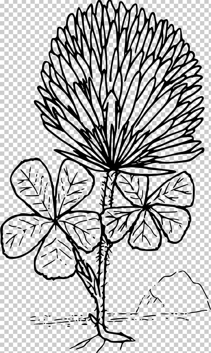 Coloring Book Four-leaf Clover Red Clover Shamrock PNG, Clipart, Branch, Child, Clover, Color, Coloring Book Free PNG Download