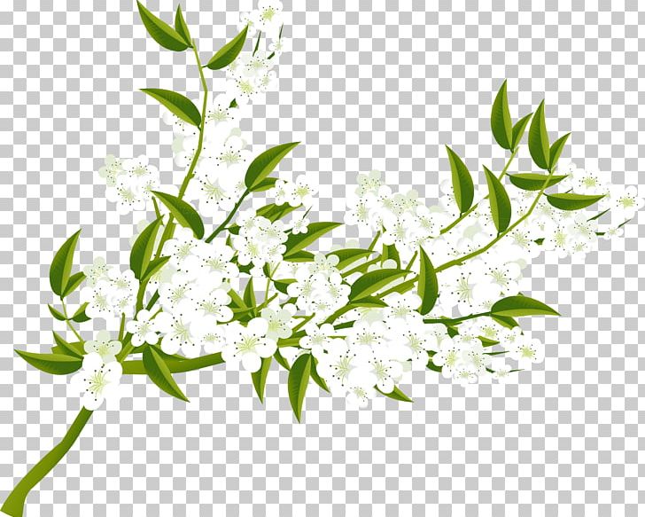Flower Painting Art PNG, Clipart, Art, Blossom, Branch, Data Compression, Flower Free PNG Download