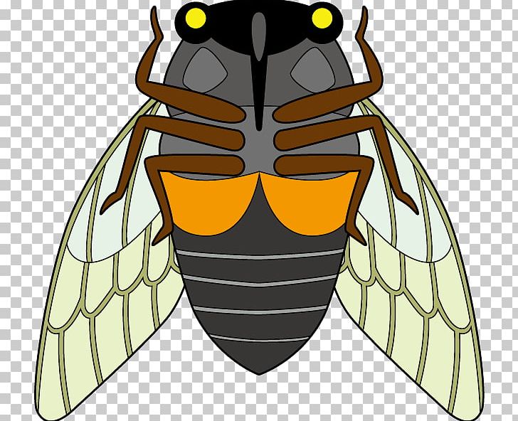 Honey Bee True Bugs PNG, Clipart, Beak, Bee, Character, Cicada, Clip Art Free PNG Download