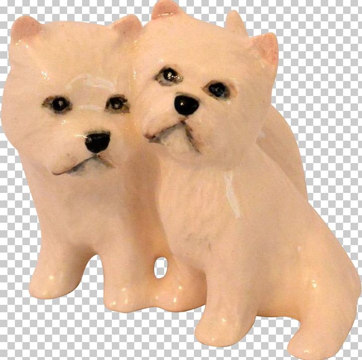 Maltese Dog West Highland White Terrier Dog Breed Rare Breed (dog) Puppy PNG, Clipart, Animal Figure, Animals, Breed Group Dog, Carnivoran, Companion Dog Free PNG Download