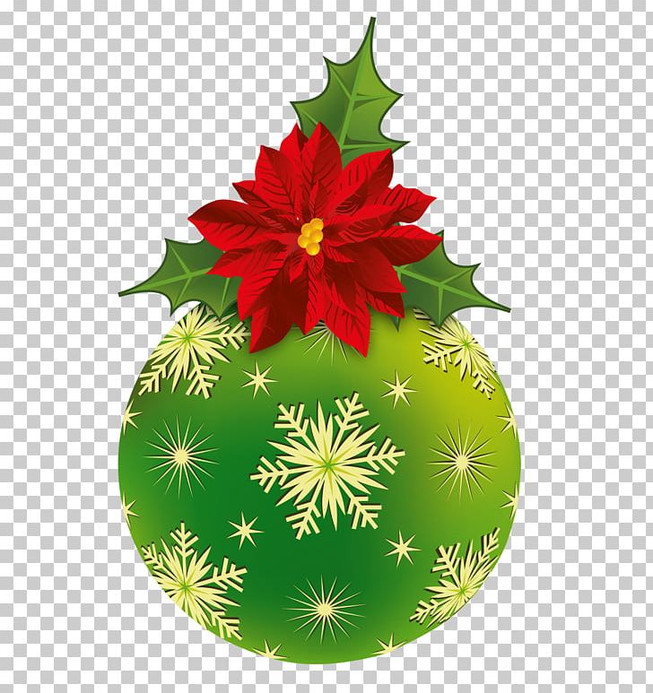 Poinsettia Christmas Plants Christmas Ornament PNG, Clipart, Christmas, Christmas Decoration, Christmas Eve, Christmas Ornament, Christmas Plants Free PNG Download