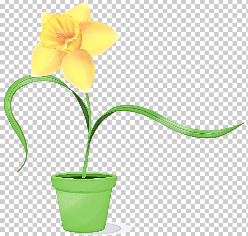 Flower Flowerpot Plant Yellow Houseplant PNG, Clipart, Cut Flowers, Flower, Flowerpot, Houseplant, Petal Free PNG Download