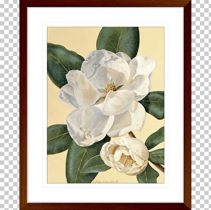 Art Printmaking Magnolia Still Life Painting PNG, Clipart, Art, Baron Von Lind, Canvas Print, Floral Design, Flower Free PNG Download