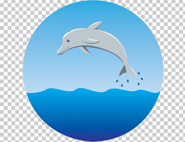 Common Bottlenose Dolphin Early Childhood Education Psychoeducation PNG, Clipart, Blue, Bottlenose Dolphin, Child, Common Bottlenose Dolphin, Dolphin Free PNG Download