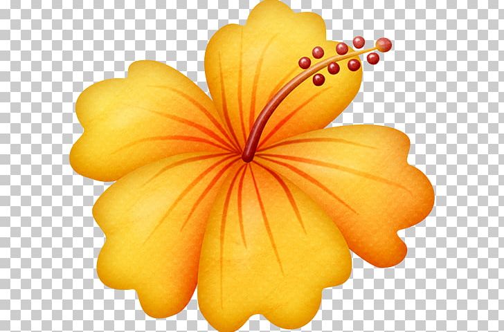 Cuisine Of Hawaii Portable Network Graphics Flower PNG, Clipart, Bonita, Cuisine Of Hawaii, Dibujos, Drawing, Flores Free PNG Download