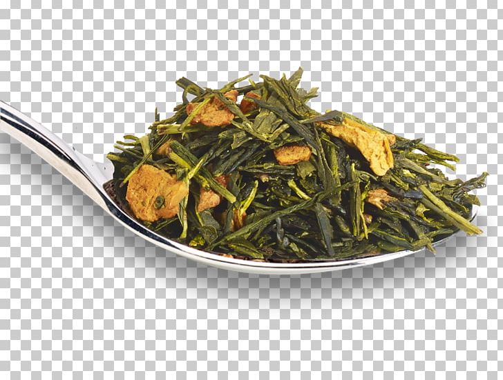 Sencha Green Tea Elderflower Cordial Nilgiri Tea PNG, Clipart, Apple, Assam Tea, Bai Mudan, Bancha, Ceylon Tea Free PNG Download