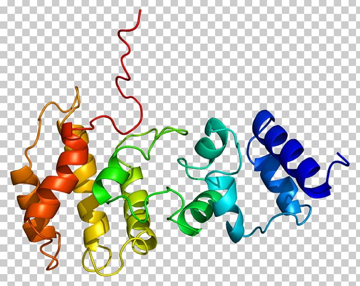 CYTH3 GeneCards CYTH1 Protein PNG, Clipart, Adcy5, Antibody, Art, Artwork, Biochemistry Free PNG Download