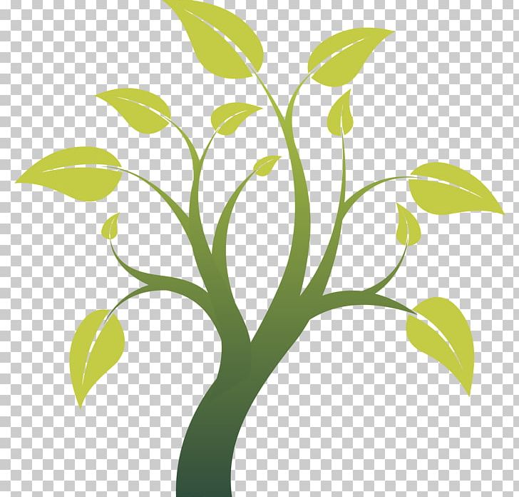 Educated By Nature Photograph Research AplusA PNG, Clipart, Branch, Child, Drawing, Education, Experience Free PNG Download