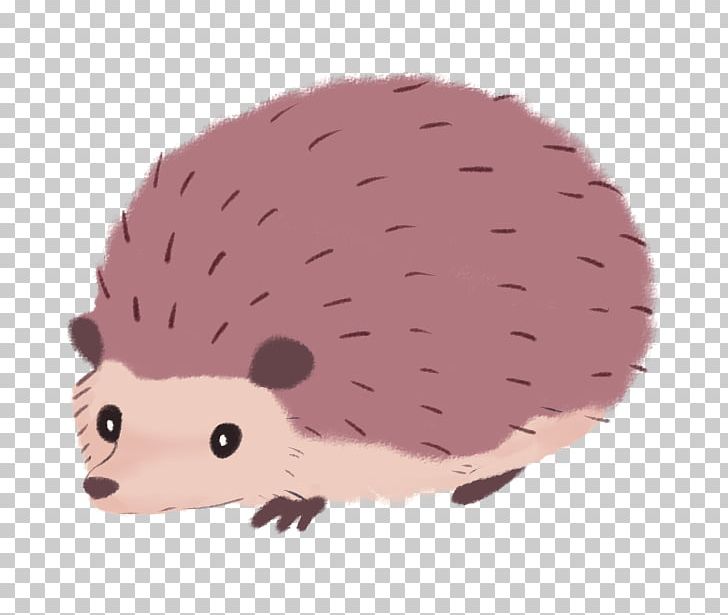 Hedgehog Desktop PNG, Clipart, Animal, Animals, Computer Icons, Desktop Wallpaper, Dolphin Free PNG Download