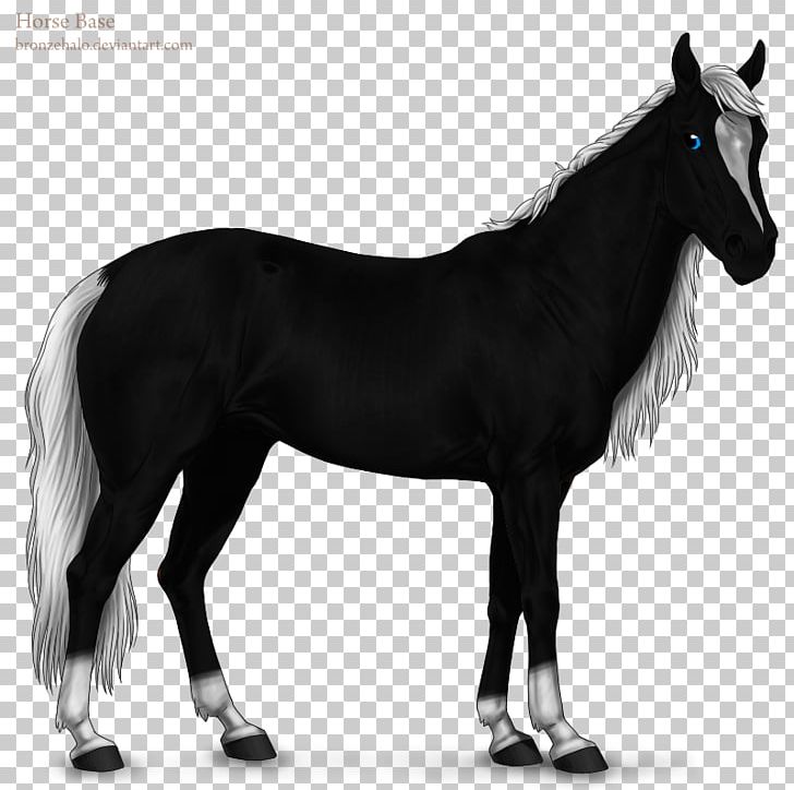 Mane Stallion Mustang Mare Pony PNG, Clipart, Art, Black And White, Bridle, Calla, Colt Free PNG Download