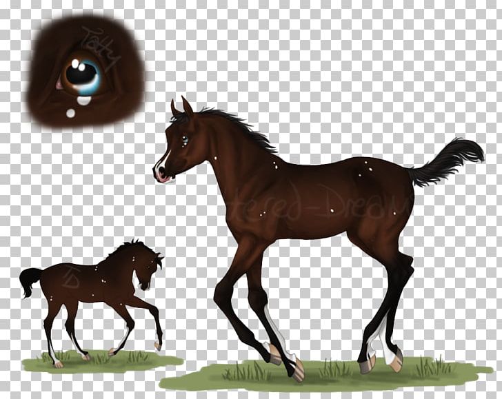 Mustang Foal Stallion Colt Mare PNG, Clipart, Animal Figure, Bridle, Colt, Foal, Grass Free PNG Download