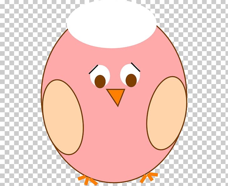 Owl Graphics Bird PNG, Clipart, Beak, Bird, Bird Of Prey, Cartoon, Cheek Free PNG Download