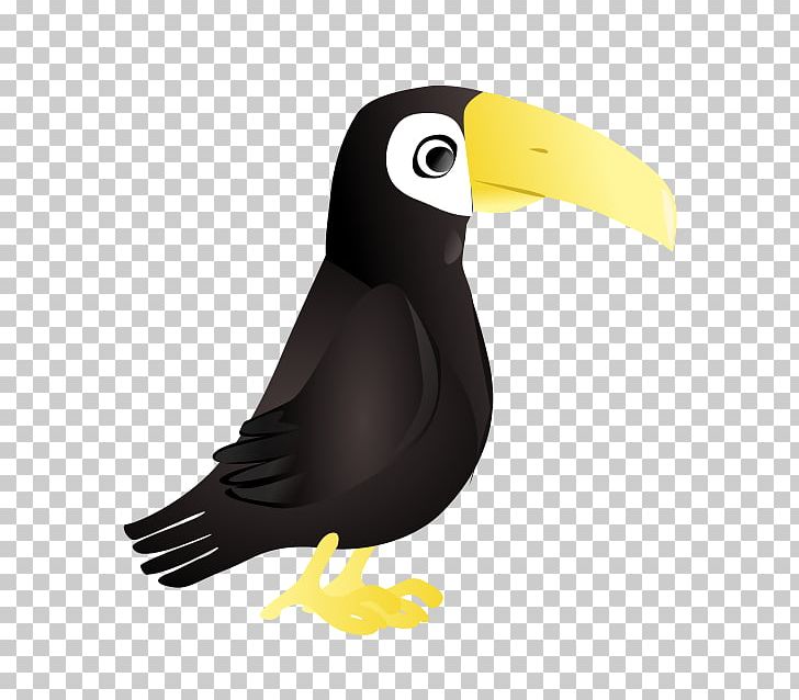 Toco Toucan Parrot PNG, Clipart, Animals, Beak, Bird, Channelbilled Toucan, Emerald Toucanet Free PNG Download