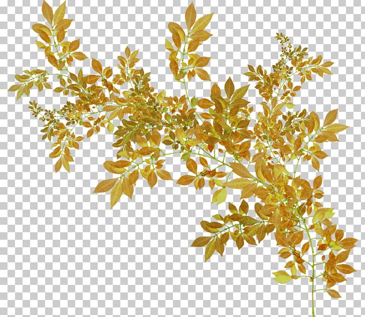 Animation Autumn Photography Polyvore PNG, Clipart, Animation, Autumn, Blog, Branch, Cartoon Free PNG Download