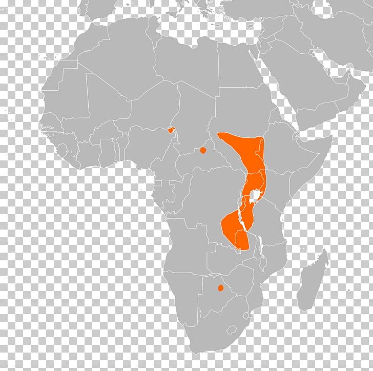 North Africa Central Africa West Africa East Africa Equatorial Africa PNG, Clipart, Adal Sultanate, Africa, Africa World, Afroasiatic Languages, Blank Map Free PNG Download