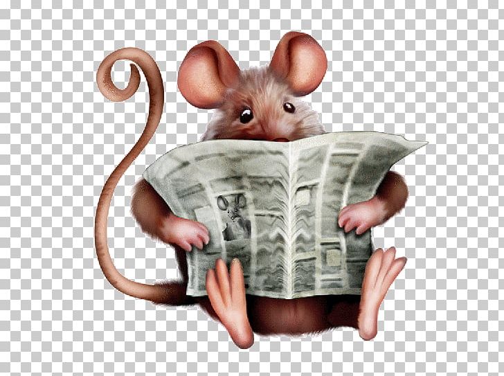 PhotoScape Computer Mouse GIMP PNG, Clipart, 2016, Animal, Ansichtkaart, Computer Mouse, Gimp Free PNG Download