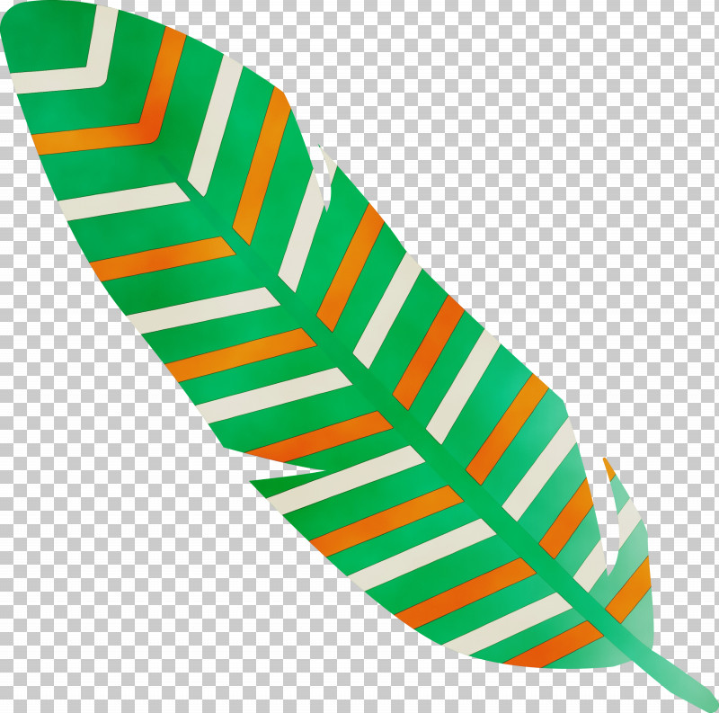 Leaf Shoe Green Line Biology PNG, Clipart, Biology, Cartoon Feather, Green, Leaf, Line Free PNG Download