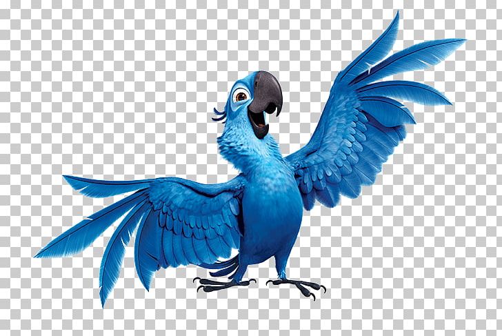 Blu Jewel Nigel Rio De Janeiro PNG, Clipart, Beak, Bird, Blu, Blueandyellow Macaw, Character Free PNG Download