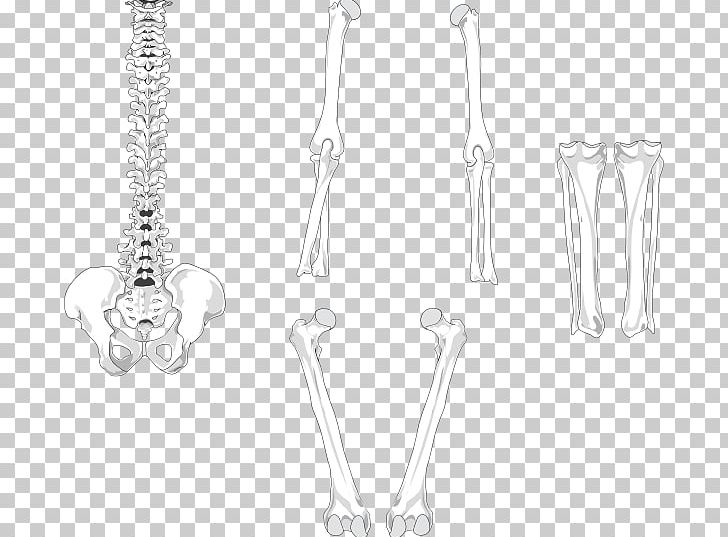 Earring Joint Body Jewellery Silver PNG, Clipart, Black And White, Body Jewellery, Body Jewelry, Dancing Skeleton, Earring Free PNG Download