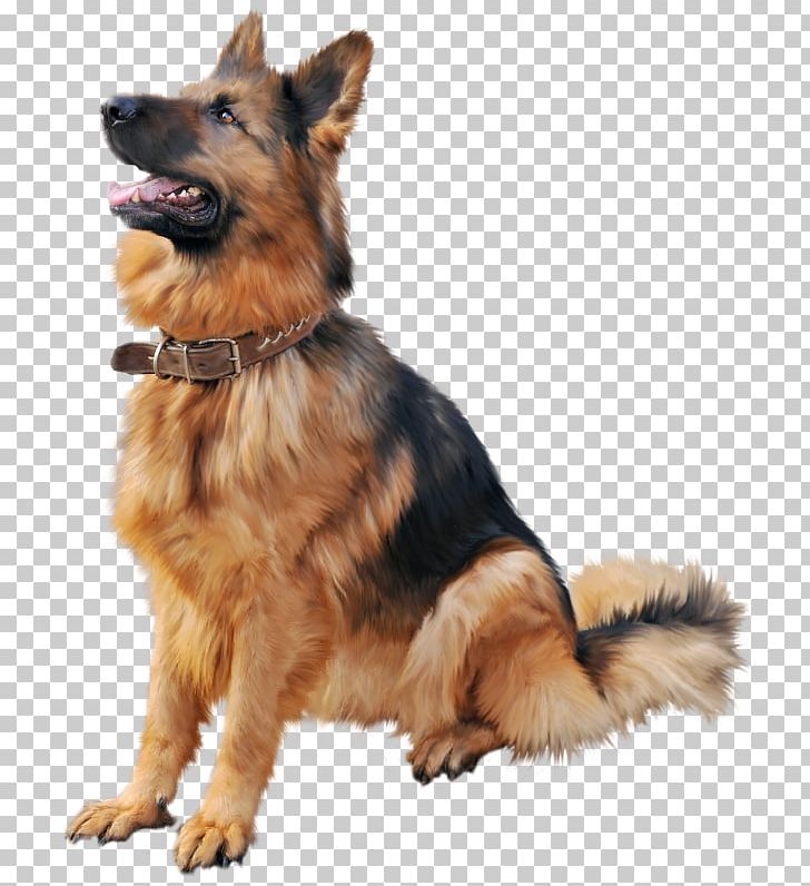 German Shepherd Rottweiler Puppy Beagle Dobermann PNG, Clipart, Animals, Beagle, Carnivoran, Companion Dog, Dobermann Free PNG Download
