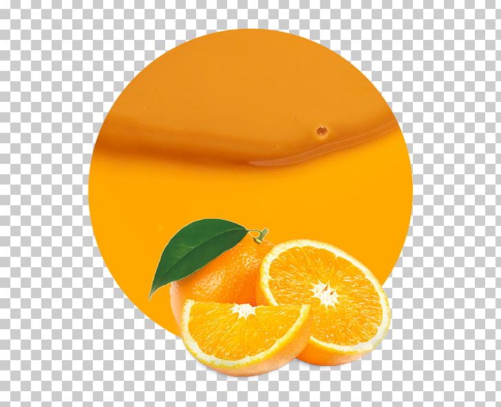 Orange Juice Concentrate Clementine PNG, Clipart, Citric Acid, Citrus, Clementine, Concentrate, Don Simon Free PNG Download