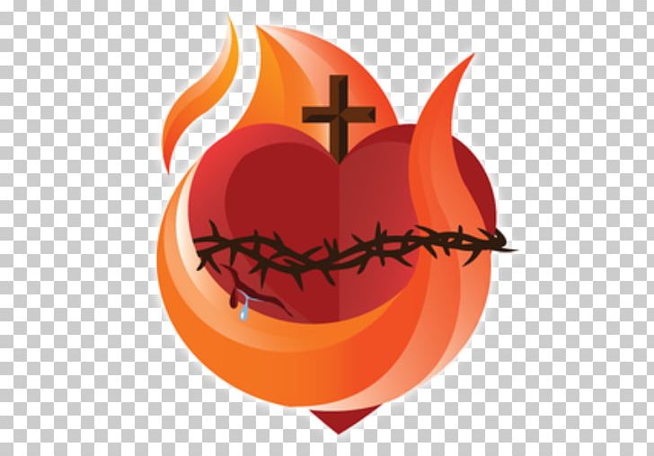 Sacred Heart Christianity God PNG, Clipart, Chaplet, Christianity, Christian Symbolism, Computer Wallpaper, Divine Grace Free PNG Download