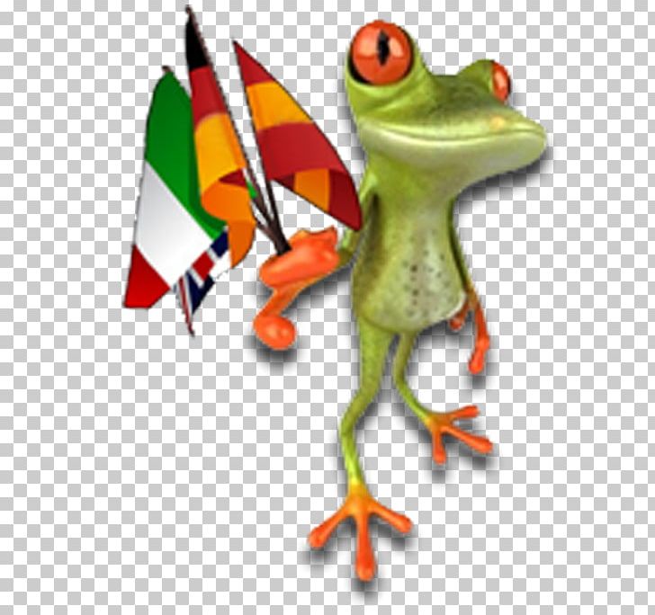 Tree Frog True Frog Champagne Depositphotos PNG, Clipart, Amphibian, Beak, Champagne, Depositphotos, Download Free PNG Download