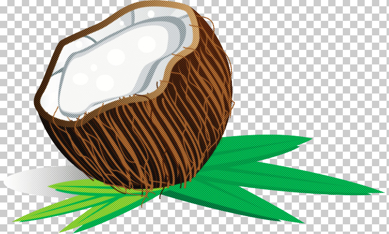 Coconut PNG, Clipart, Coconut, Plant Free PNG Download