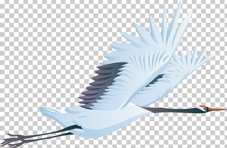 Bird Crane PNG, Clipart, Albatross, Animals, Beak, Bird, Computer Icons Free PNG Download