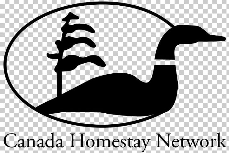 Canada Homestay Network International Student Lambton Kent District School Board PNG, Clipart, Artwork, Beak, Bird, Black And White, Canada Free PNG Download