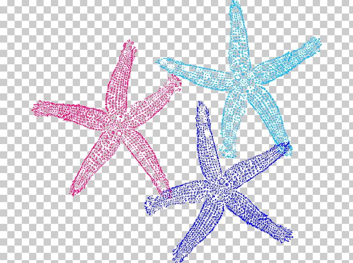 Coral Starfish PNG, Clipart, Animal, Animals, Clip Art, Color, Colored Free PNG Download