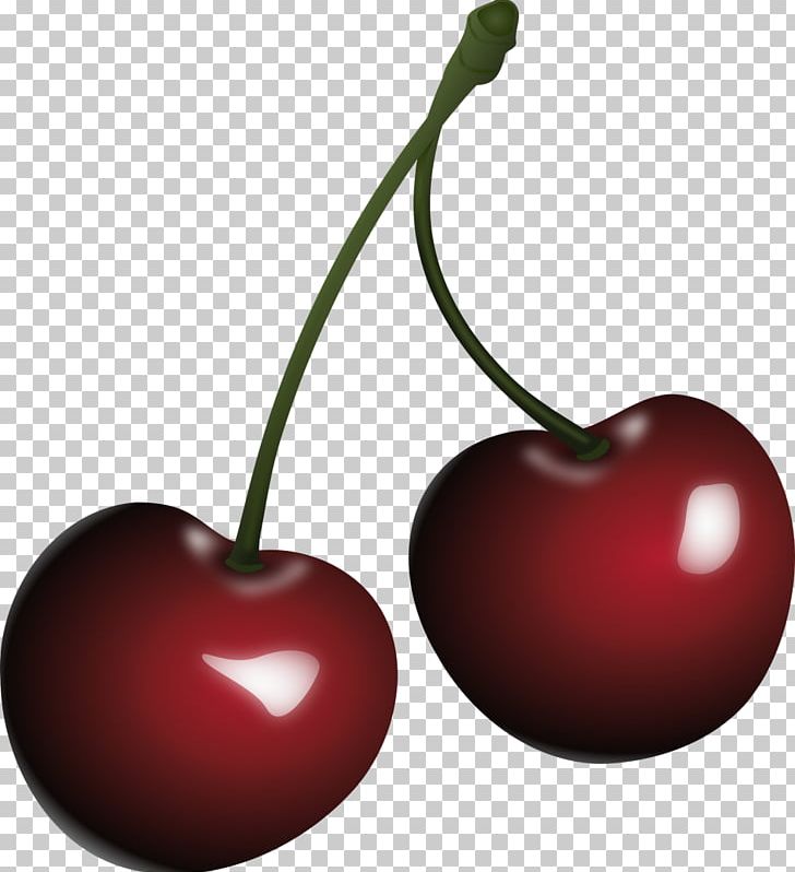 Cordial Chocolate-covered Cherry PNG, Clipart, Berry, Black Cherry, Blog, Cherry, Cherry Clipart Free PNG Download