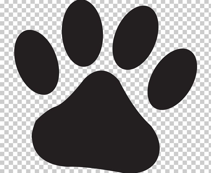 Lion Dog Tiger Paw Puppy PNG, Clipart, Animal Track, Art, Black, Black And White, Cat Free PNG Download