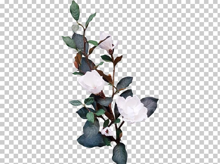 Twig Flowering Plant Leaf PNG, Clipart, Branch, Flower, Flowering Plant, Leaf, Plant Free PNG Download