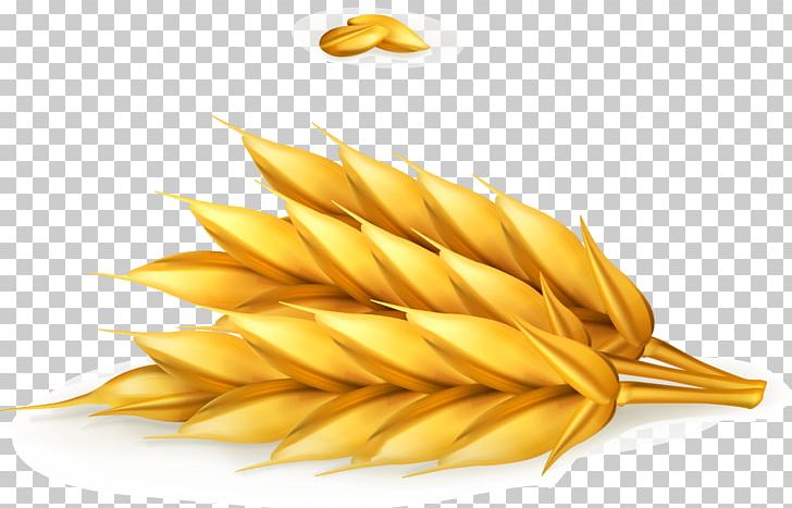 Wheat Food PNG, Clipart, Alcoholic Drink, Cartoon, Cartoon Wheat, Commodity, Company Free PNG Download