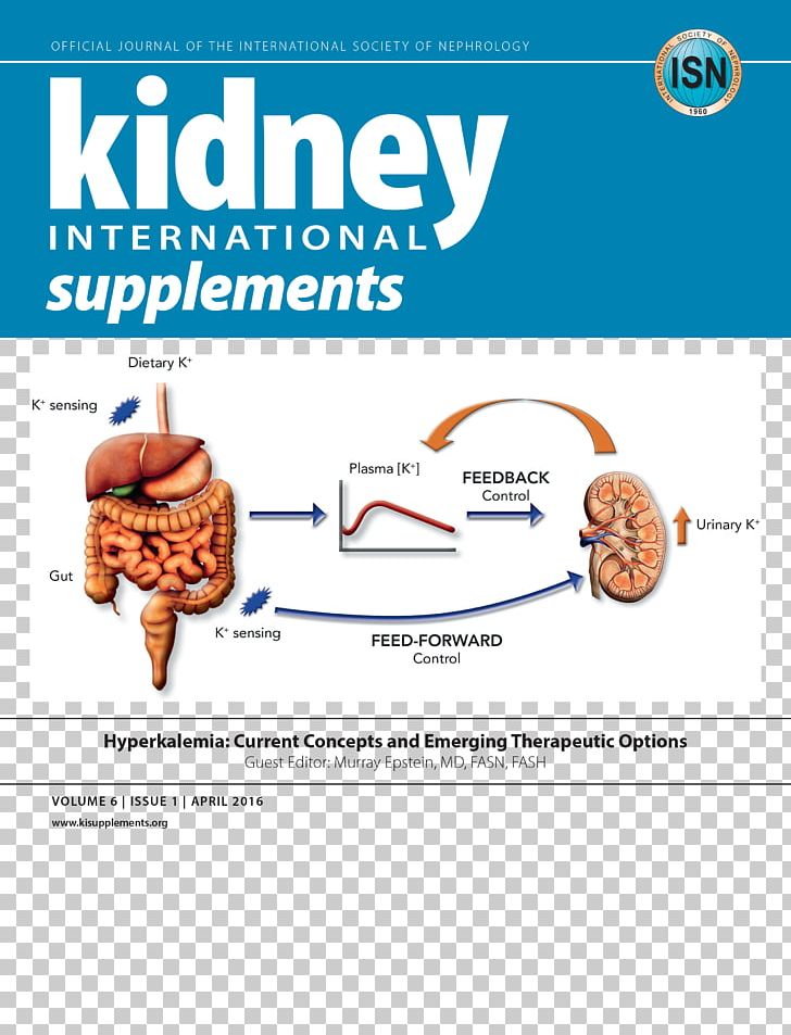 Dietary Supplement Kidney International Kidney Disease: Improving Global Outcomes International Society Of Nephrology Chronic Kidney Disease PNG, Clipart, Area, Brain, Chronic Kidney Disease, Dietary Supplement, Elsevier Free PNG Download