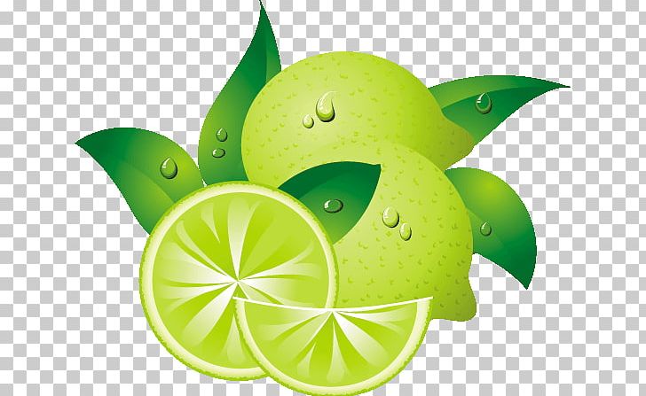 Lemon Euclidean PNG, Clipart, Adobe Illustrator, Citrus, Computer Wallpaper, Cup, Encapsulated Postscript Free PNG Download