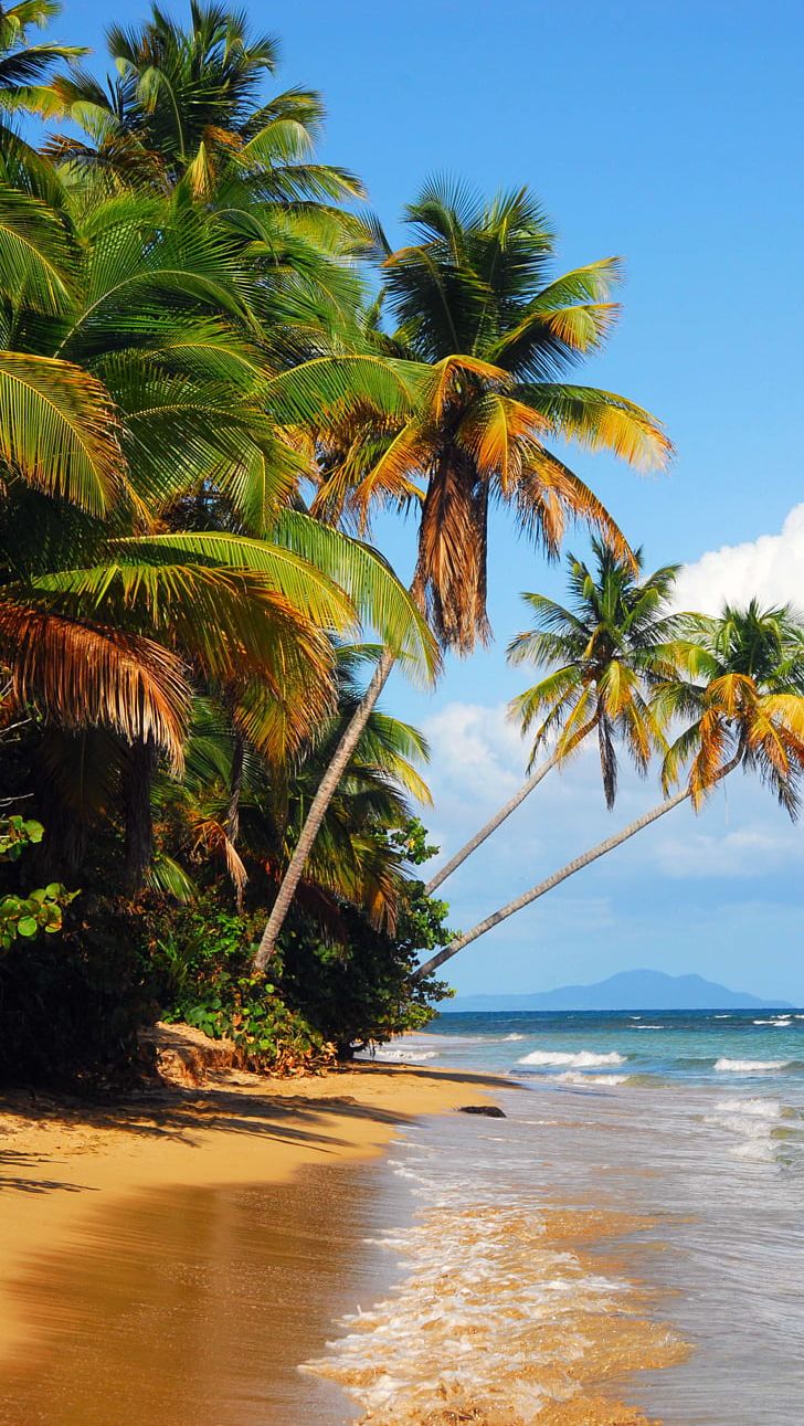 IPhone 6 Plus Culebra Desktop Beach PNG, Clipart, 4k Resolution, Arecales, Beach, Coast, Coastal And Oceanic Landforms Free PNG Download