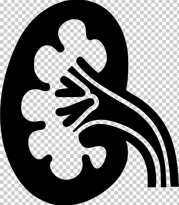 Kidney Failure Renal Function Kidney Disease Lupus Erythematosus PNG, Clipart, Artwork, Black And White, Clearance, Computer Icons, Creatinine Free PNG Download