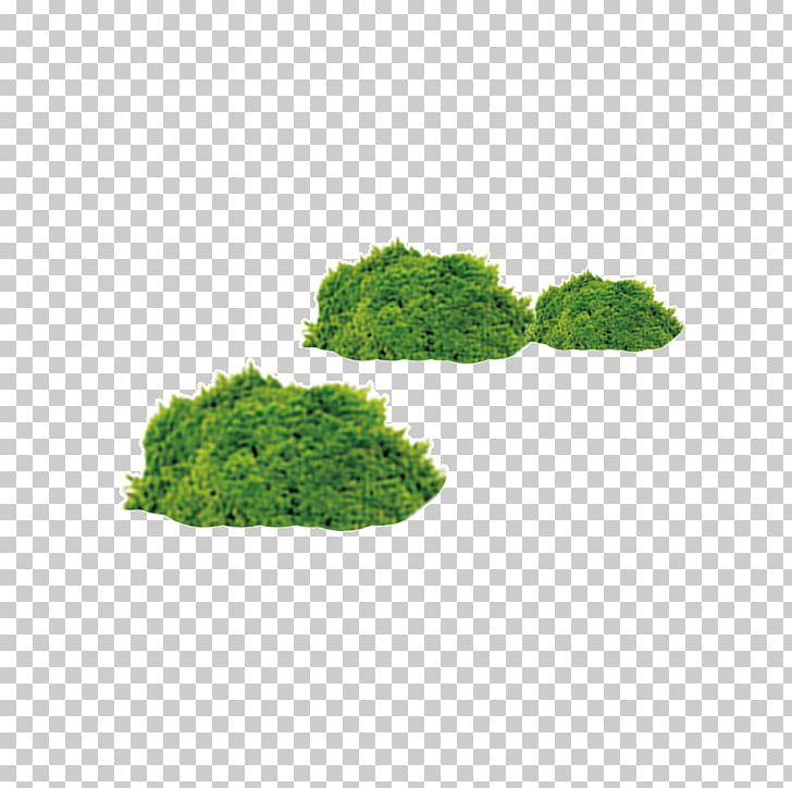 Shrub Icon PNG, Clipart, Animation, Bush, Design, Download, Grass Free PNG Download