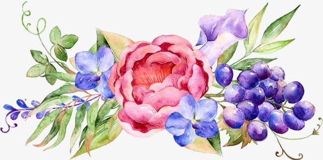 Watercolor Floral Decoration PNG, Clipart, Backgrounds, Beauty, Blossom, Bouquet, Decoration Free PNG Download