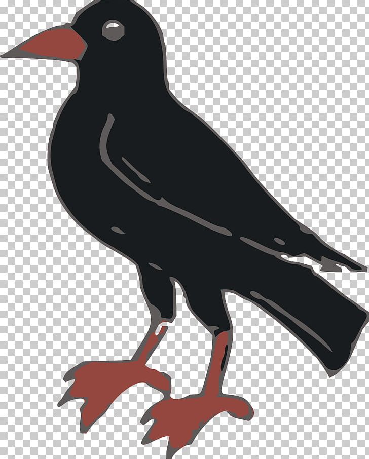 Common Raven Crow PNG, Clipart, Animal, Animals, Background Black, Beak, Bird Free PNG Download